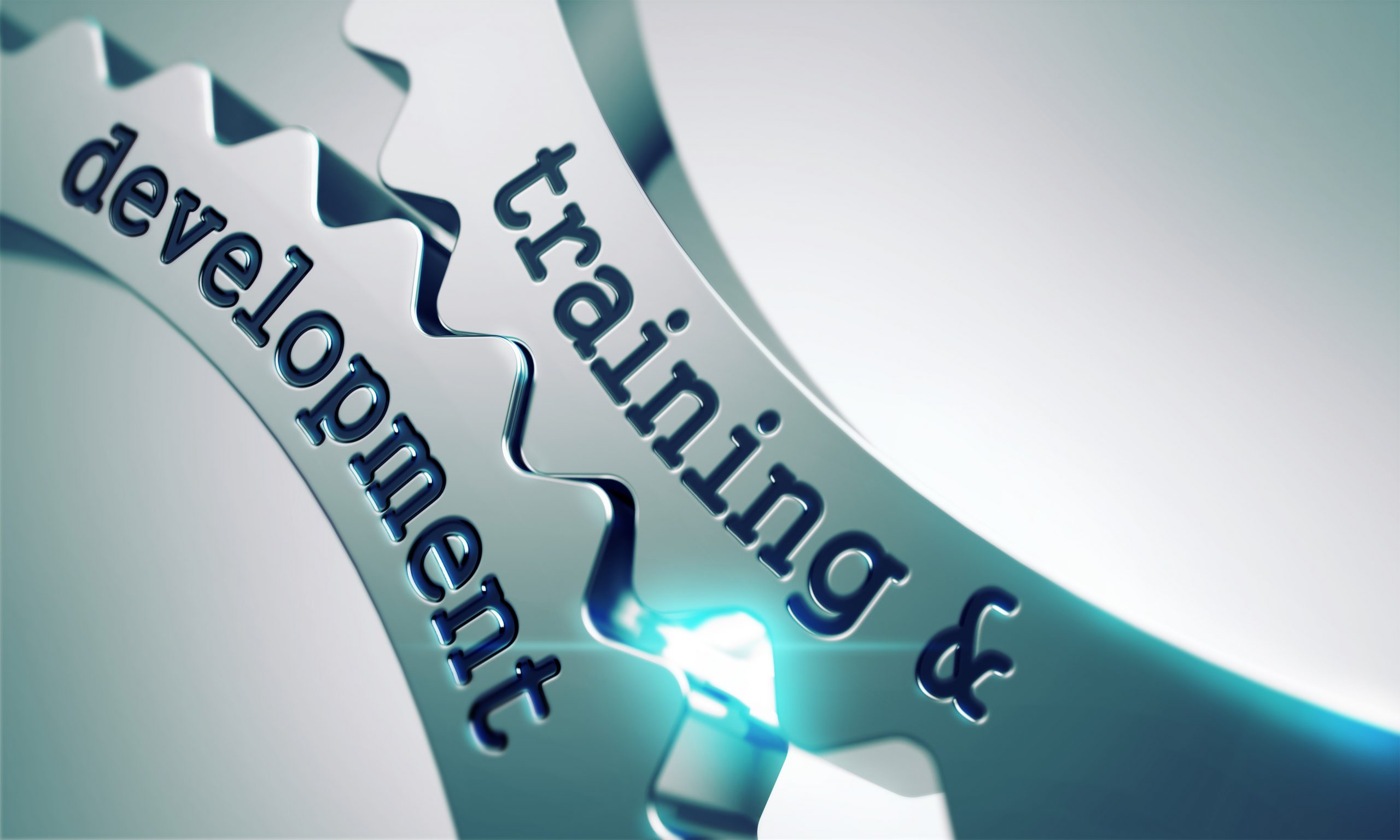 Level 2 Business Streamlining Consult with advanced training 2 hrs 